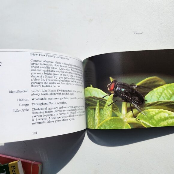 6 Field Guides Book Bundle Guide Books Reference Nature Trees Mammals Geology In - Picture 16 of 16